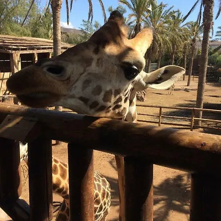 Amatista Salinas Golf & *