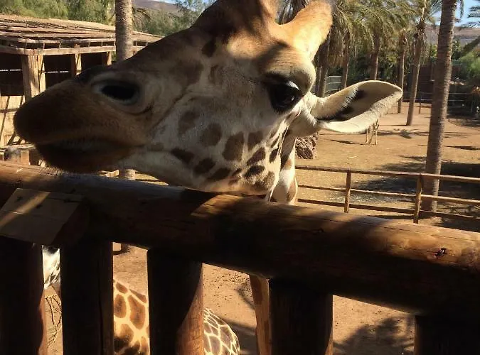 Amatista Salinas Golf & *